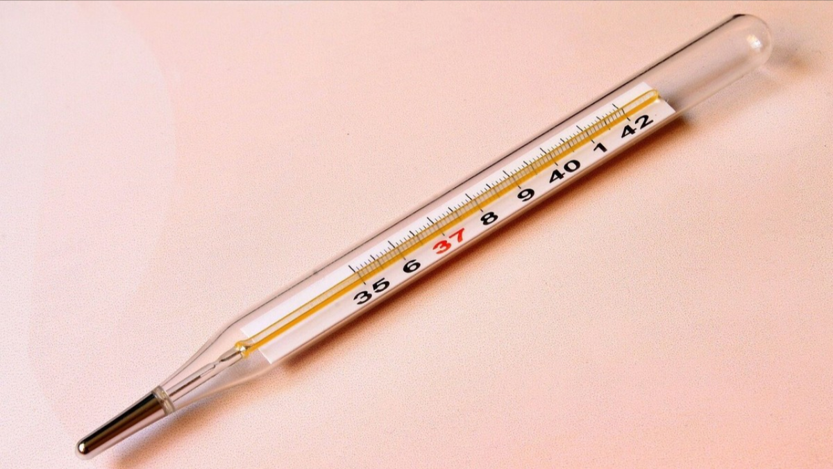 World Thermometer Day: why is it commemorated every December 22?