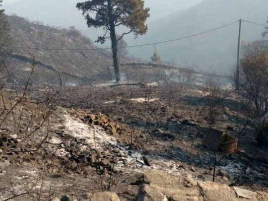 Los incendios forestales consumieron miles de héctareas durante 2020.