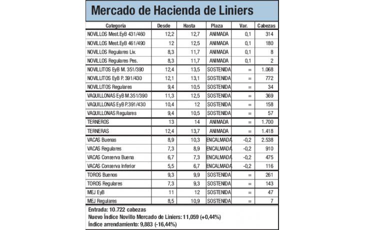 Liniers: leve alza en novillos