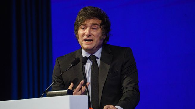 Milei y un polémico tuit en medio de los reclamos por la emergencia en discapacidad.