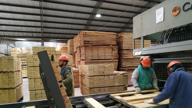 La actividad se redujo drásticamente, y la industria forestal-maderera enfrenta serveros problemas, se reclama que retorne la obra pública