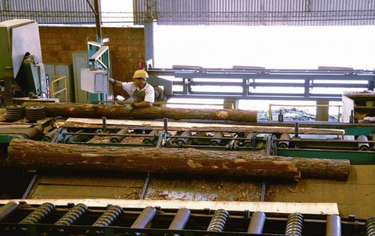 apoyo. El sector foresto-industrial, uno de los beneficiados por el Programa de Eficiencia Energética.