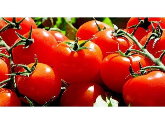 Entre  2014 y 2015, la cantidad de kilos pasó de 136.639 a 335.667, mientras que en 2016 ascendió a 3.593.869 y 2017 cerró en 10.302.124.Entre  2014 y 2015, la cantidad de kilos de tomate entero pelado pasó de 136.639 a 335.667, mientras que en 2016 ascendió a 3.593.869 y 2017 cerró en 10.302.124.