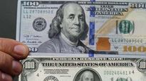 Ahora se pueden cambiar los dólares cara chica hasta marzo de 2025.