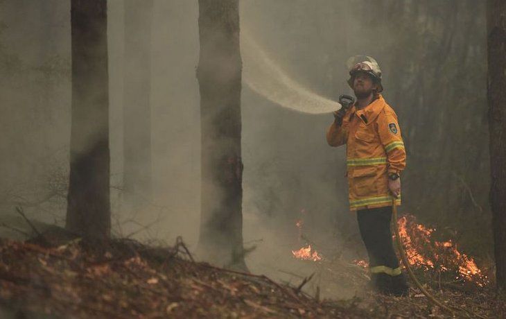 Los incendios ya devoraron más de 80 mil kilómetros cuadrados en Australia. Los incendios ya devoraron más de 80 mil kilómetros cuadrados en Australia.
