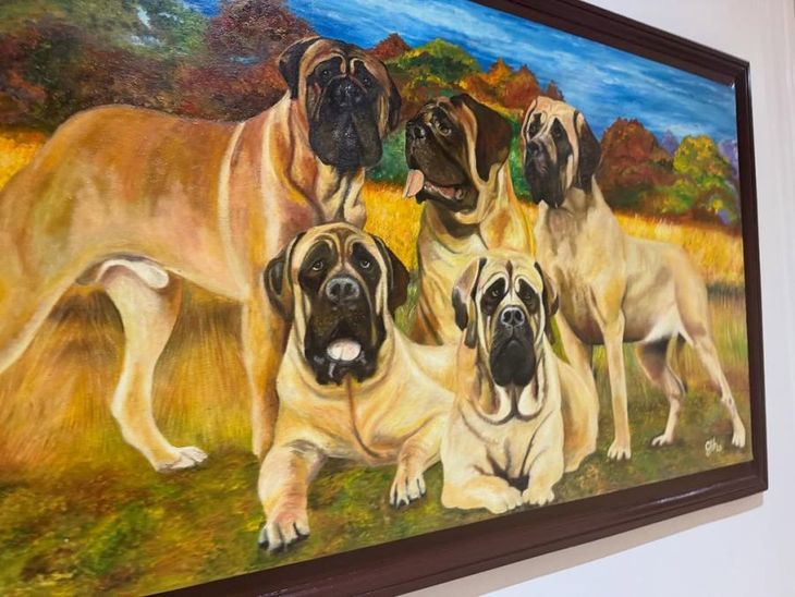 Los llamativos cuadros en la Los llamativos cuadros en la