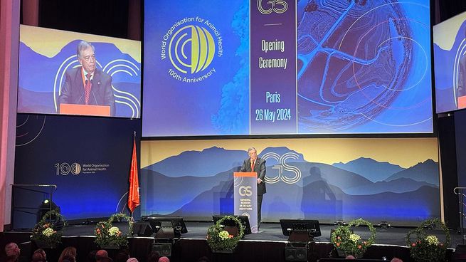 Fernando Mattos participó de la 91° Sesión General Anual de la Asamblea de la OMSA.