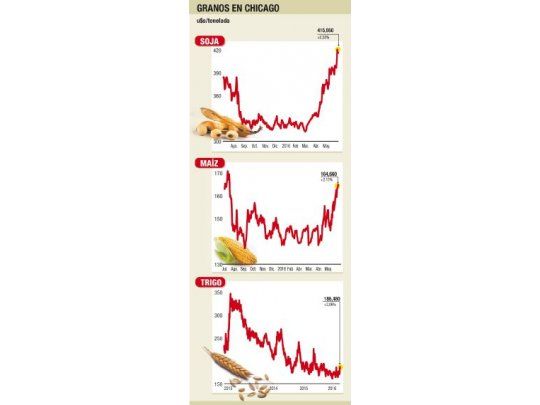 Granos con tendencia en alza