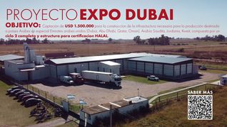 surmax: siete anos de integracion vertical, vision exportadora y apuesta al campo argentino