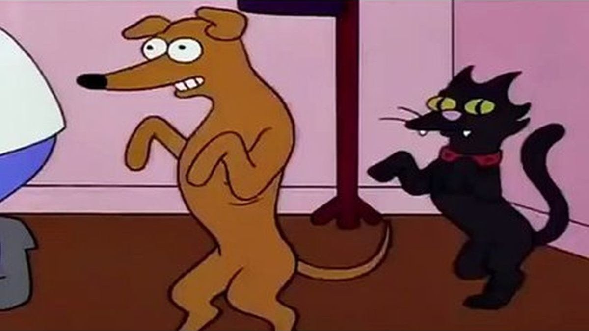 Mascotas: ¿es saludable intercambiar los alimentos de gatos y perros?