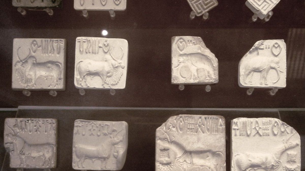 They offer a million dollars for whom it decipher a mysterious millenary writing system