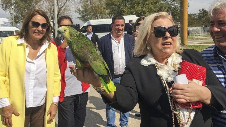 Elisa Carrió.
