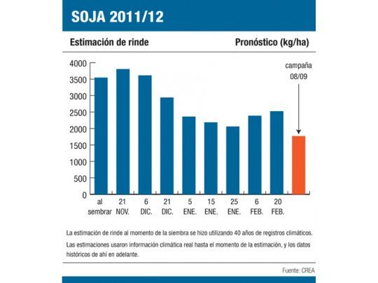 Pese a lluvias, pérdidas en soja llegan al 30% en Junín