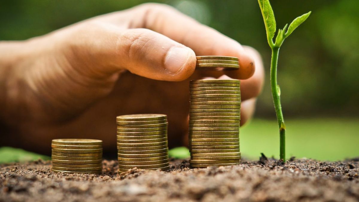 Capital market: for the first time an SME traded “green” dollar-linked promissory notes