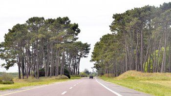 El Certificado Verano solicita se informe qué medio de transporte será utilizado: auto propio o transporte público.&nbsp;