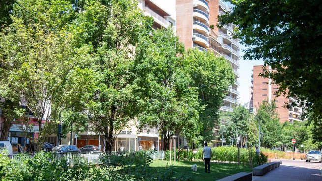 La intervención supuso la creación de casi 10.000 metros cuadrados (m²) de superficie verde absorbente, una importante ampliación del área peatonal, cruces más seguros y nuevos espacios públicos recreativos para miles de vecinos que viven y transitan por estas calles todos los días.