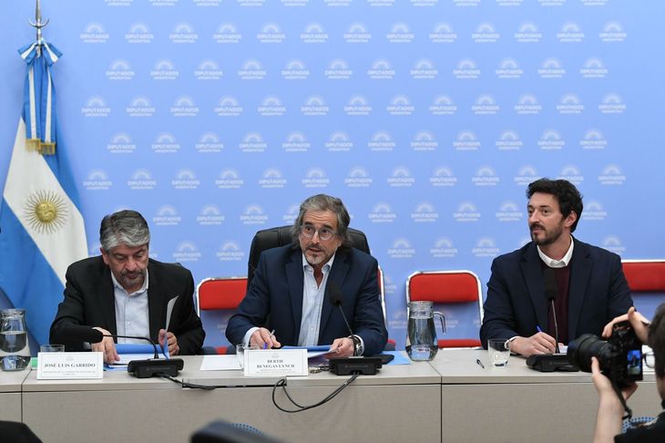 Garrido, Benegas Lynch y Yeza, autoridades del plenario que dictaminó Súper RIGI. Garrido, Benegas Lynch y Yeza, autoridades del plenario que dictaminó Súper RIGI.