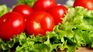 The prices of lettuce and tomato have skyrocketed recently. The prices of lettuce and tomato have skyrocketed recently.