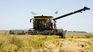 The rice sector claims for lack of competitiveness. 