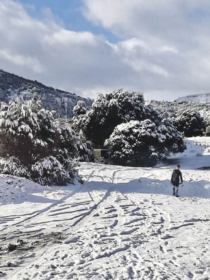 implacable. Finalmente llegó el frío al centro del país, con heladas y nevadas que llegaron hasta Venado Tuerto en Santa Fe. implacable. Finalmente llegó el frío al centro del país, con heladas y nevadas que llegaron hasta Venado Tuerto en Santa Fe.
