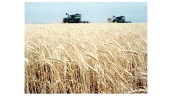 El clima acompañará positivamente a la campaña 2013/14. Razones de mercado favorecieron la rentabilidad de la agricultura argentina, que creció un 7,3% desde 2007, según un informe de la UBA.