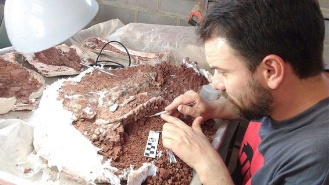 Científicos del CONICET hallaron una nueva especie de dinosaurios.