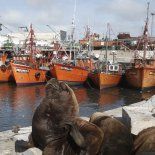 La ciudad de Mar del Plata endurece sanciones a camiones pesqueros. La ciudad de Mar del Plata endurece sanciones a camiones pesqueros.