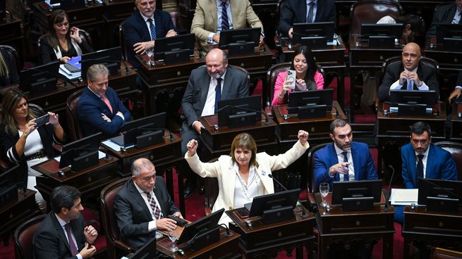 Los abogados agrupados en los Colegios de todo el país acudieron a la justicia para bloquear dos artículos de la reforma laboral que afectan a sus representados.&nbsp;