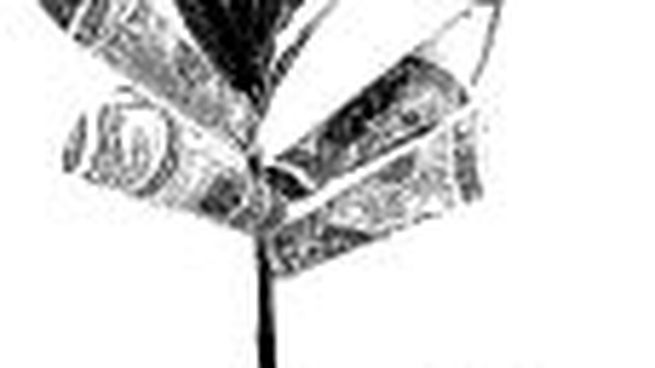 dolar planta_opt.jpeg