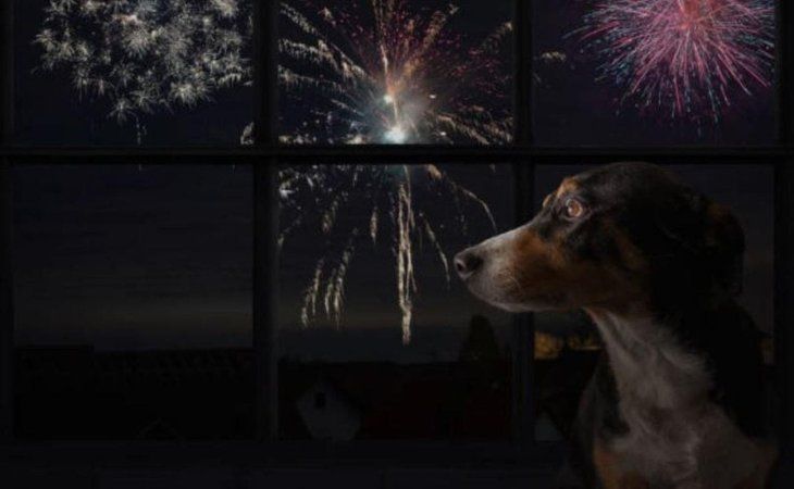 La razón por la que no se celebra la Navidad en algunas naciones se debe a diferencias religiosas o incluso por prohibiciones.