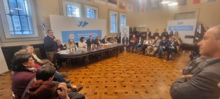 Diputados de Unión por la Patria durante la conferencia de prensa donde explican la denuncia contra la ministra de Seguridad, Patricia Bullrich. Diputados de Unión por la Patria durante la conferencia de prensa donde explican la denuncia contra la ministra de Seguridad, Patricia Bullrich.