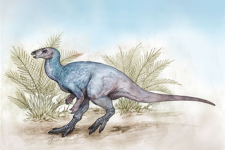 Ilustración representativa del Chakisaurus nekul. Ilustración representativa del Chakisaurus nekul.