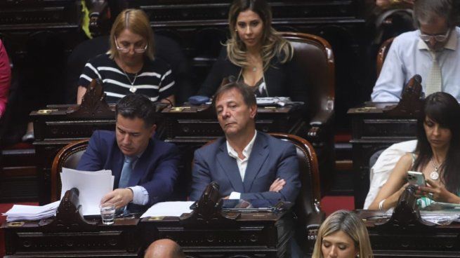 Zago se refirió a las próximas jugadas que realizará LLA en Diputados.&nbsp;