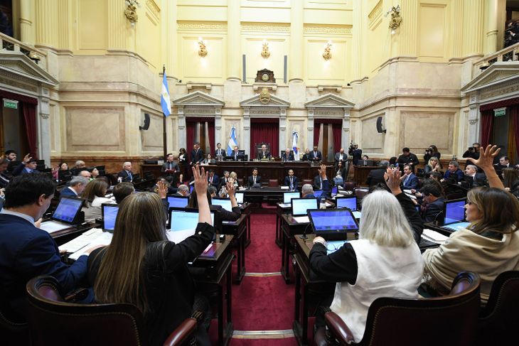 El Senado debate la reforma de la Carta Orgánica del Banco Central y Zona Fría.