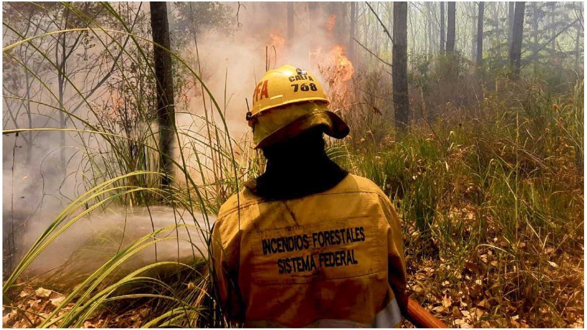 Gobierno aumentó presupuesto para combatir incendios forestales