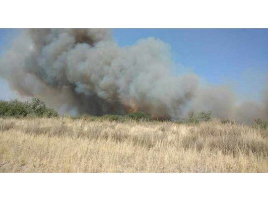 Controlaron incendios en Provincia, La Pampa y Río Negro (consumieron más de 1 millón de hectáreas)