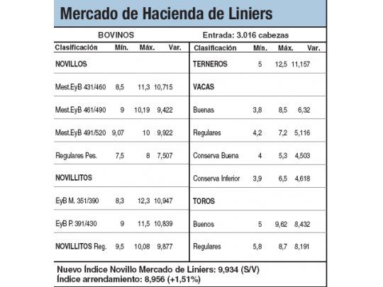 Los novillos con alzas del 0,5%