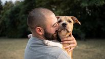La compañía de perros y gatos puede tener un papel importante en el bienestar emocional de muchas personas.