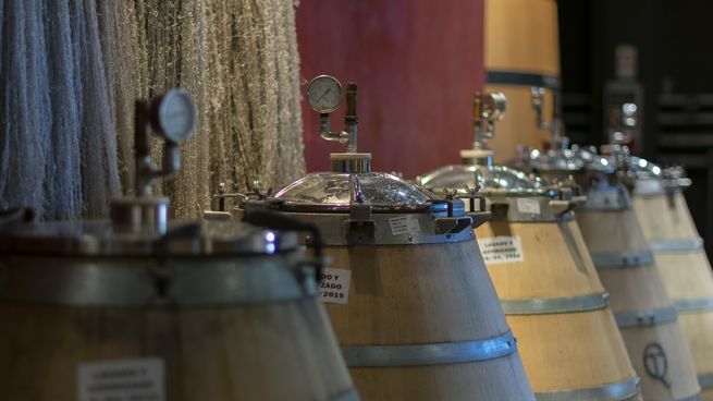 El Gobierno avanzó otro paso en la desregulación de la industria del vino.