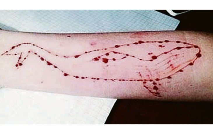 Pasos. El juego consta de 50 pasos, uno de ellos es cortarse la piel y dibujarse una ballena en un brazo. El último consiste en suicidarse.