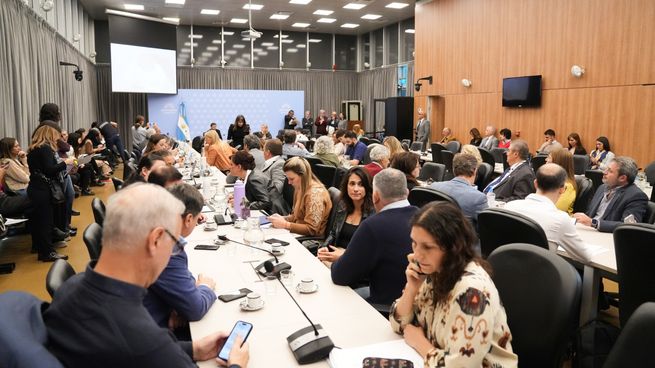 ONGs denunciaron la falta de medicamentos oncológicos ante la comisión de Defensa al Consumidor.