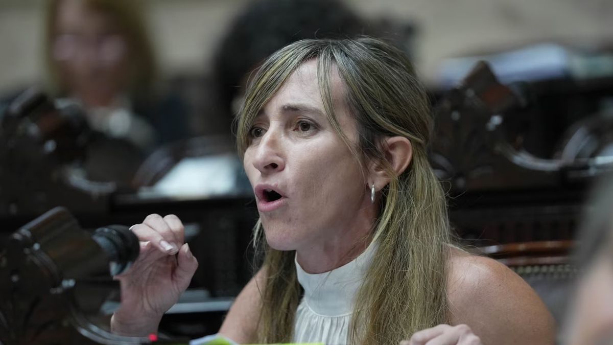 Diputada de La Libertad Avanza present proyecto de ley para limitar el  gasto del Congreso