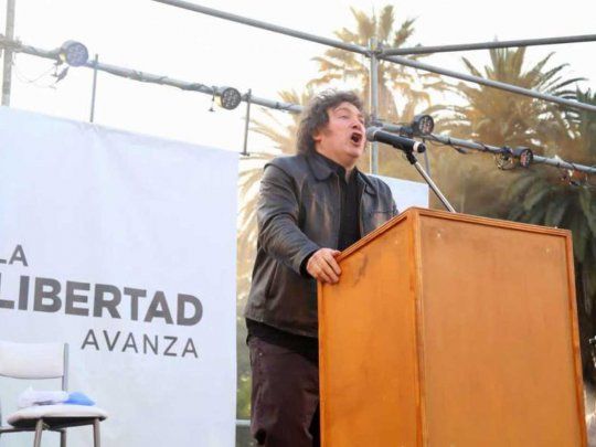Javier Milei fue electo diputado por la Ciudad&nbsp;