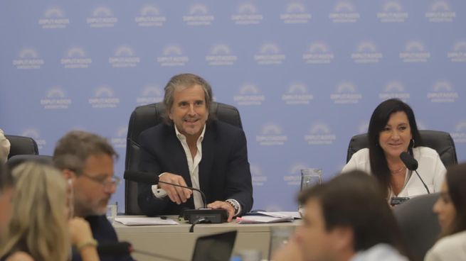 Benegas Lynch y Rodríguez Machado, presidentes en el plenario que dictaminó Inocencia Fiscal.