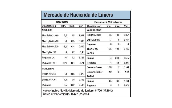 Los novillos subieron entre un 0,5% y un 2,4%