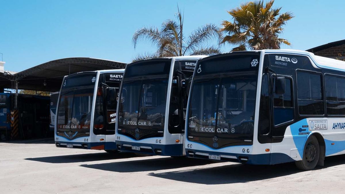 provincial strategies to support transportation rates