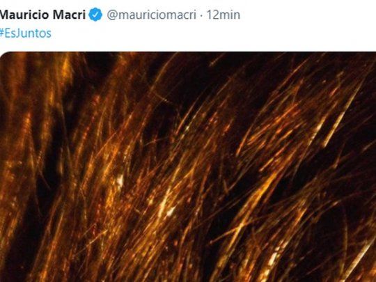 campaña santilli.jpg