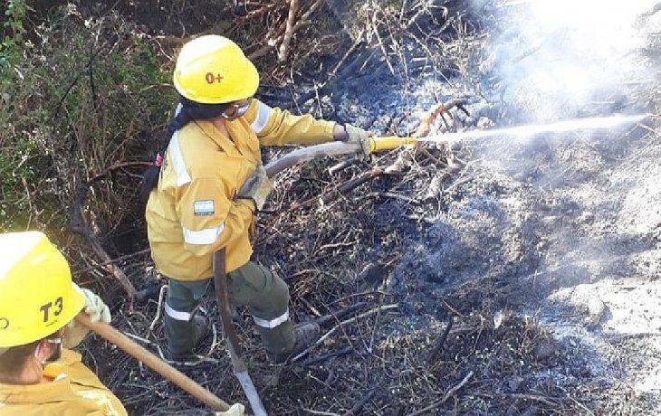 Diputados convirtió en ley la declaración de emergencia por los incendios en el sur