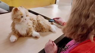 El uso de la llamada roboterapia con personas mayores es un tratamiento no farmacológico que usa robots con forma de mascotas para estimular la mente, regular las emociones y la interacción entre los individuos. El uso de la llamada roboterapia con personas mayores es un tratamiento no farmacológico que usa robots con forma de mascotas para estimular la mente, regular las emociones y la interacción entre los individuos.