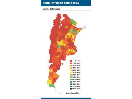 Pasto, el capital verde que ahora se puede medir